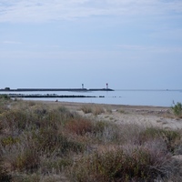 Photo de France - La randonnée de la Tamarissière